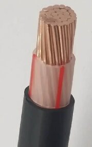 1712826244(1)_proc.jpg